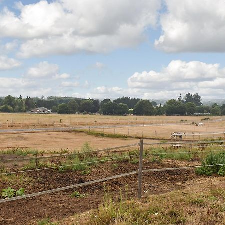 South Wing Coldharbour Park Farm Villa Rake Luaran gambar