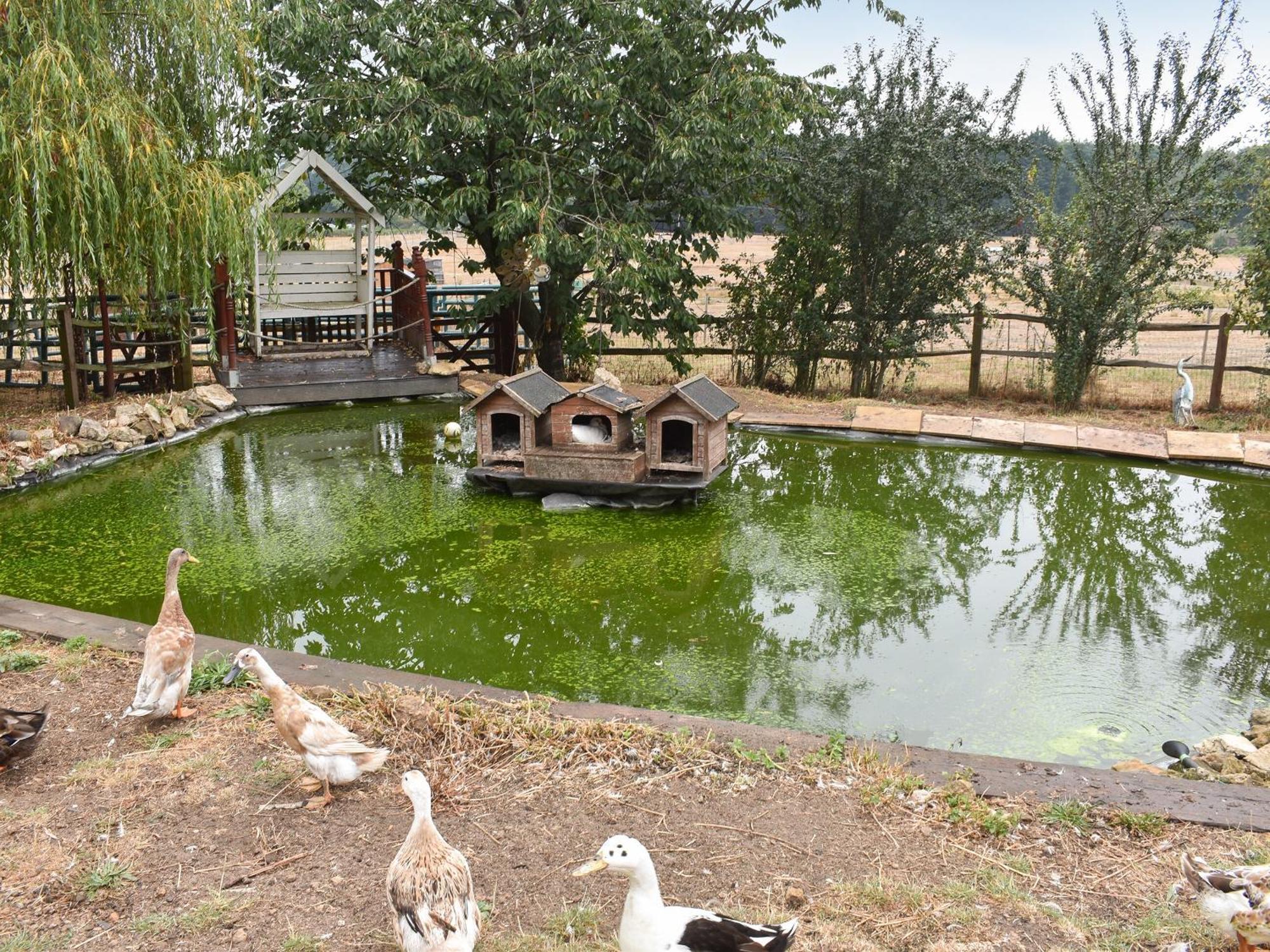 South Wing Coldharbour Park Farm Villa Rake Luaran gambar